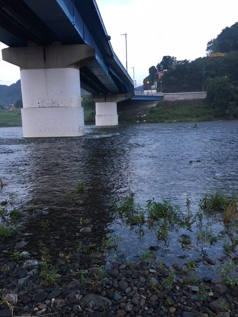 【7月13日9時現在】相模川・高田橋周辺の川の状況