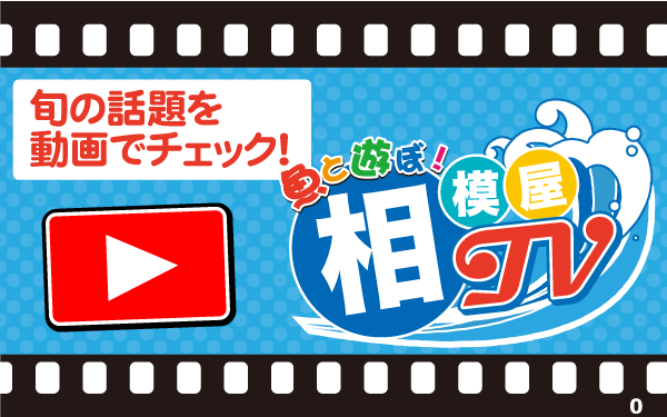 魚と遊ぼ！相模屋TVバナー