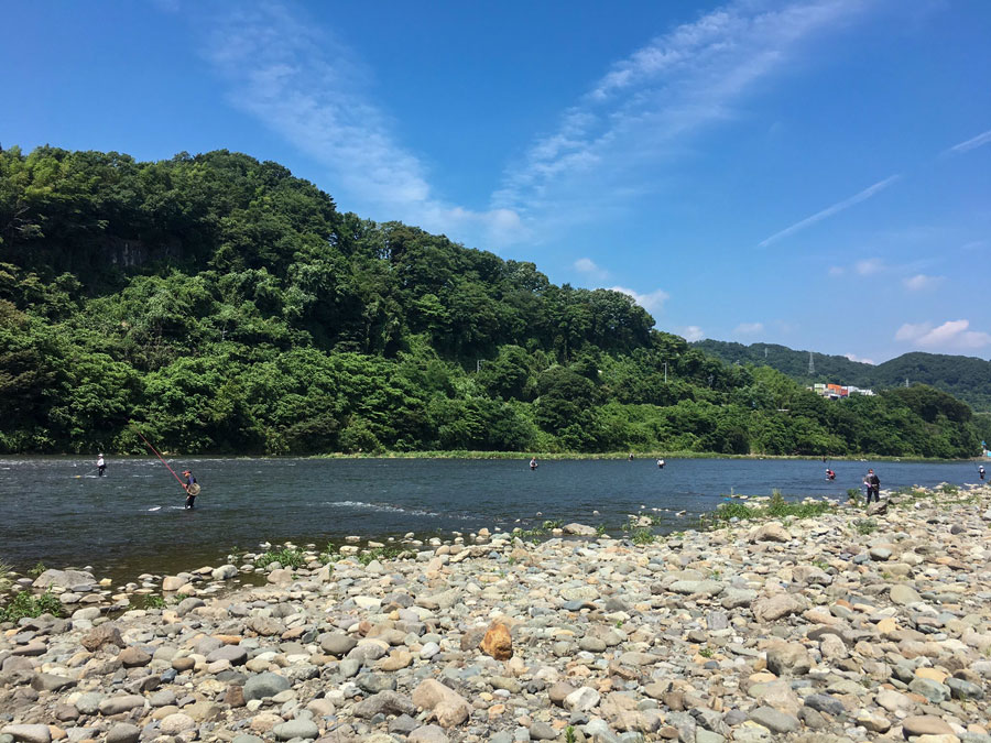 2019年6月26日（水）10時：高田橋下〜上流