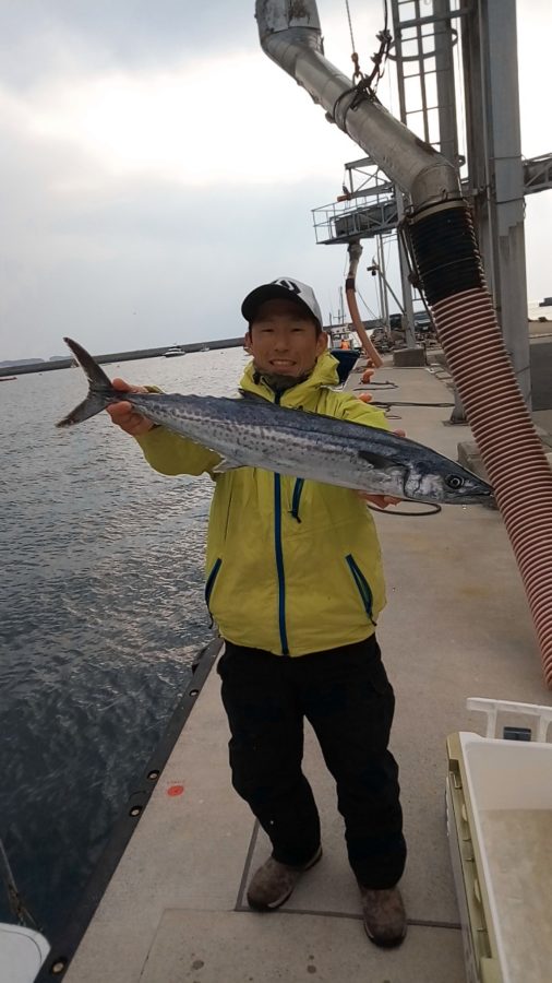 相模湾 東京湾で青物が大フィーバー中 釣りに急げ フィッシング相模屋