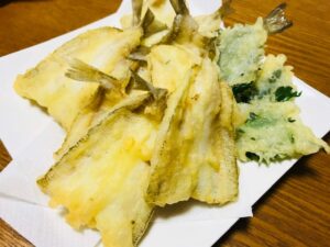 『やろうよ釣り!』〜はじめてのシロギス釣り(船釣り編)〜