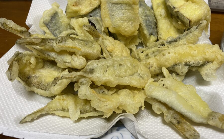 『やろうよ釣り!』〜手軽なハゼ釣り〜