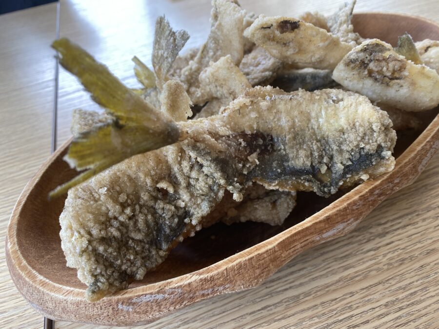 『やろうよ釣り!』〜東京湾でのはじめてのLTアジ釣り（船釣り編）〜