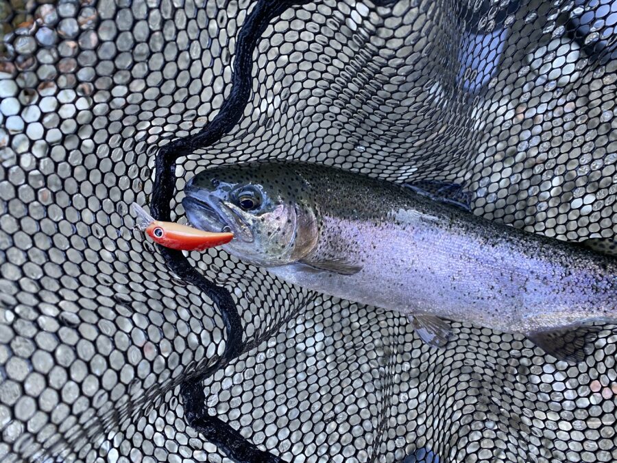 『やろうよ釣り!』 はじめてのエリアトラウト～ルアー編～