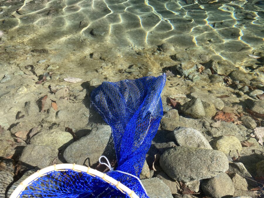 『やろうよ釣り!』 はじめてのエリアトラウト～ルアー編～