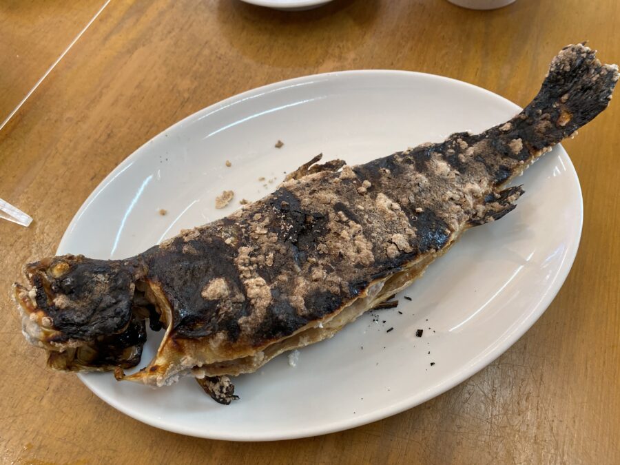 『やろうよ釣り!』 はじめてのエリアトラウト～ルアー編～