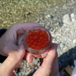 『やろうよ釣り!』 ～はじめてのエリアトラウト(エサ・テンカラ釣り編)～