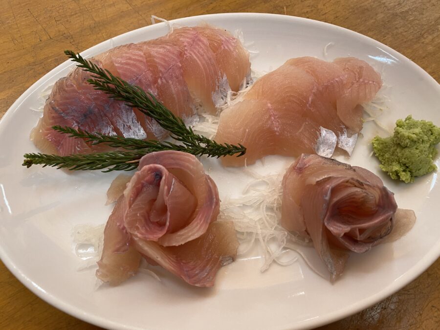 『やろうよ釣り!』 ～はじめての渓流釣り～