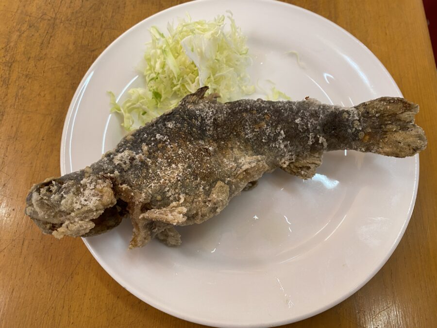 『やろうよ釣り!』 ～はじめての渓流釣り～