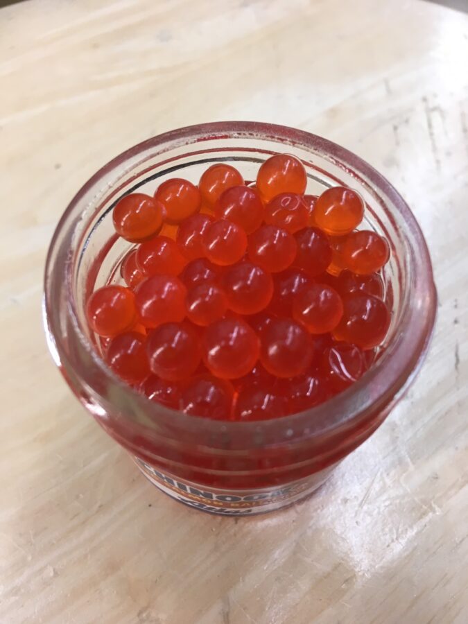 『やろうよ釣り!』 ～はじめての渓流釣り～