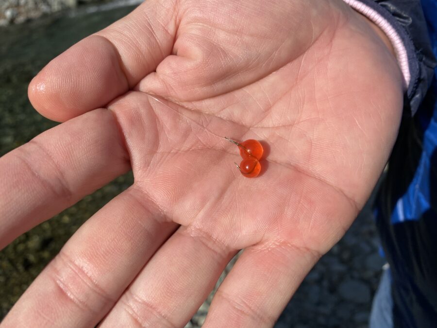 『やろうよ釣り!』 ～はじめてのエリアトラウト(エサ・テンカラ釣り編)～