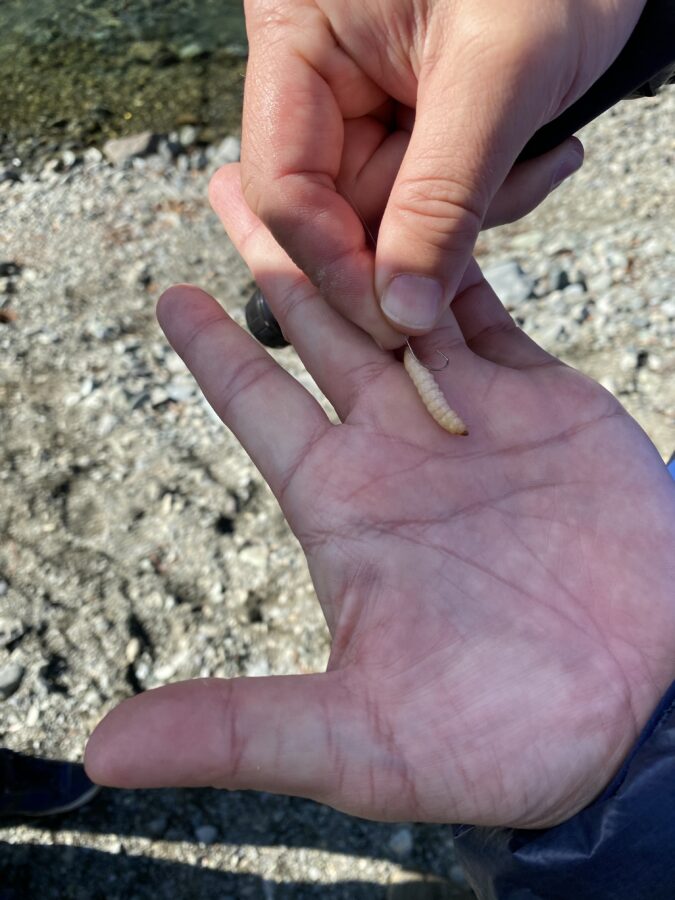 『やろうよ釣り!』 ～はじめてのエリアトラウト(エサ・テンカラ釣り編)～