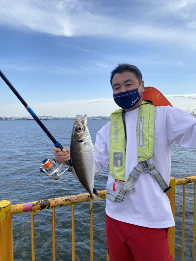 釣り竿セット 6本 管理釣り場、磯、海釣り用 - フィッシング