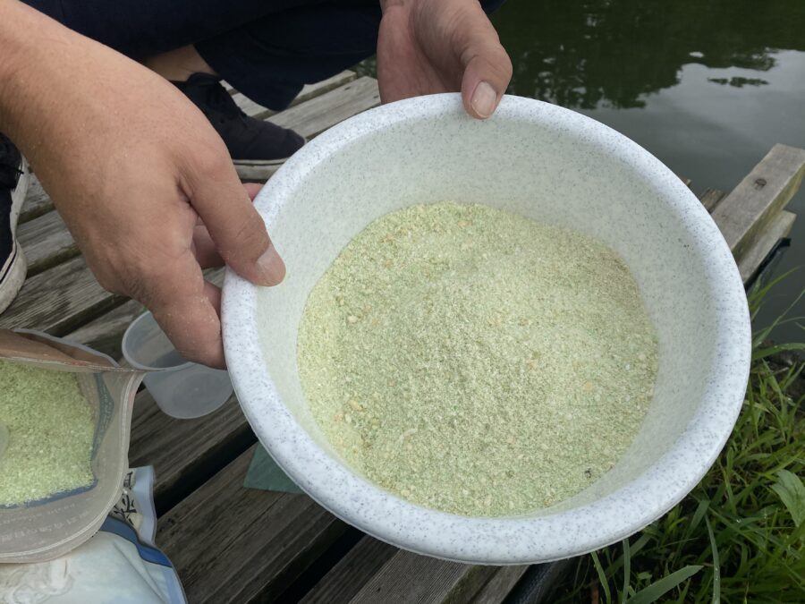 『やろうよ釣り!』 〜はじめての管理釣り場でヘラブナ釣り〜