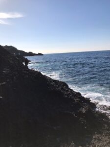 スタッフ小澤釣行記～西伊豆仁科/口太メジナ41cm・43cm〜