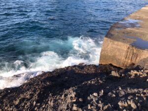 スタッフ小澤釣行記～西伊豆仁科/口太メジナ41cm・43cm〜