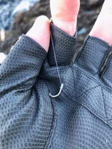 スタッフ小澤釣行記～西伊豆仁科/口太メジナ41cm・43cm〜