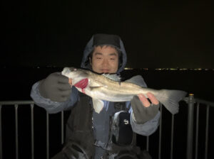 スタッフ大山釣行記～富津/マルスズキ..76cm1匹～