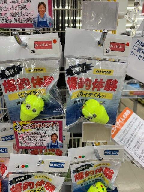 スタッフ平賀釣行記～徳島県 阿南市/カワハギ48匹・最大25cm位～