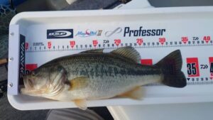 松尾様～津久井湖/ブラックバス34.5cm1匹～