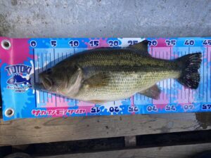 O様～津久井湖/ブラックバス43cm(1610g)と38cm(1010g)～