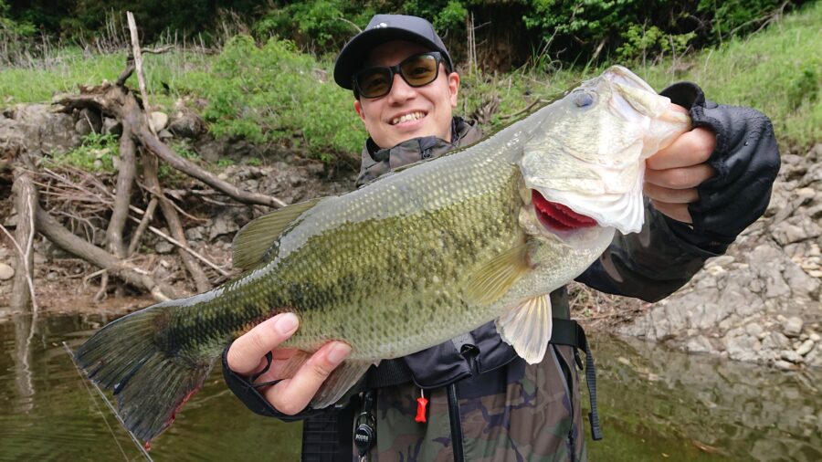 スタッフ吉田君釣行記～津久井湖/吉田・ブラックバス20-43cm/7匹～