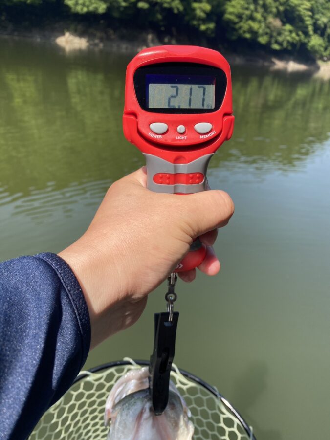 O様~津久井湖/ブラックバス22-51cm5匹~