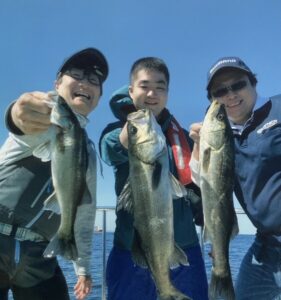 スタッフ大山釣行記～横浜-千葉付近/マルスズキ46-63cm～