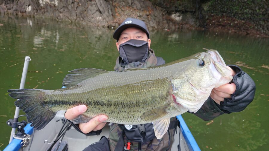 スタッフ吉田君釣行記～津久井湖/吉田・ブラックバス20-43cm/7匹～