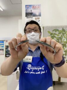 OSP『HPシャッドテール2.5インチ(オリカラ)』『ドライブシャッド3.5インチ(オリカラ)』