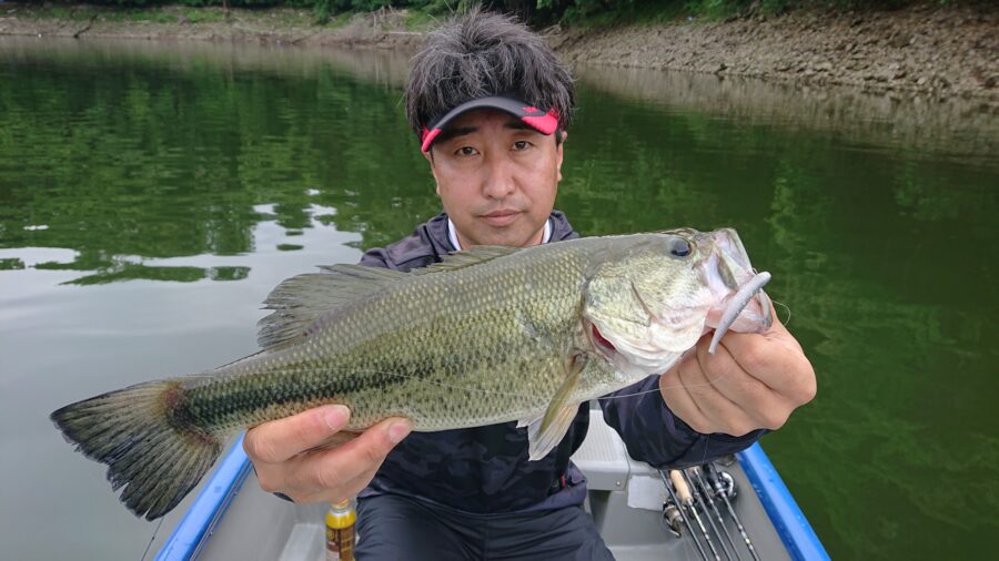 スタッフ君吉田釣行記~津久井湖/ブラックバス25-38cm~