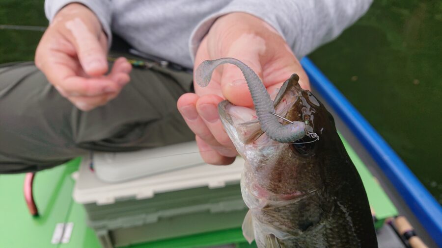 スタッフ君吉田釣行記~津久井湖/ブラックバス25-38cm~