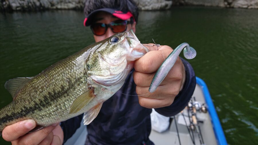スタッフ君吉田釣行記~津久井湖/ブラックバス25-38cm~