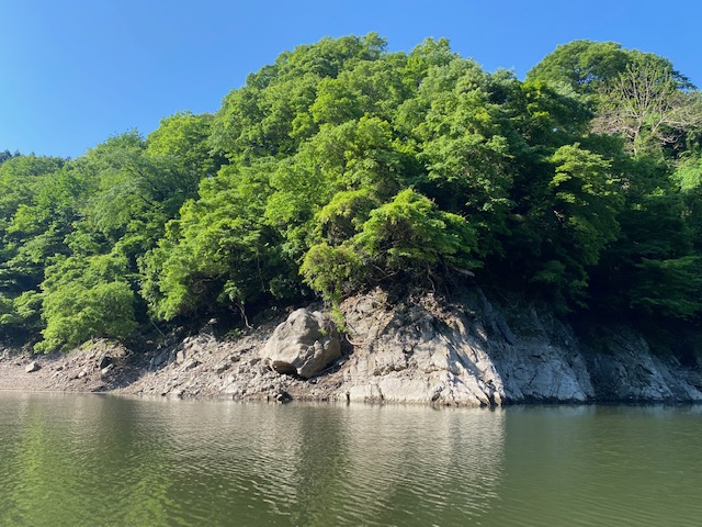スタッフ千鮎釣行記～津久井湖/ブラックバス43.5cm(1,550g)1匹～