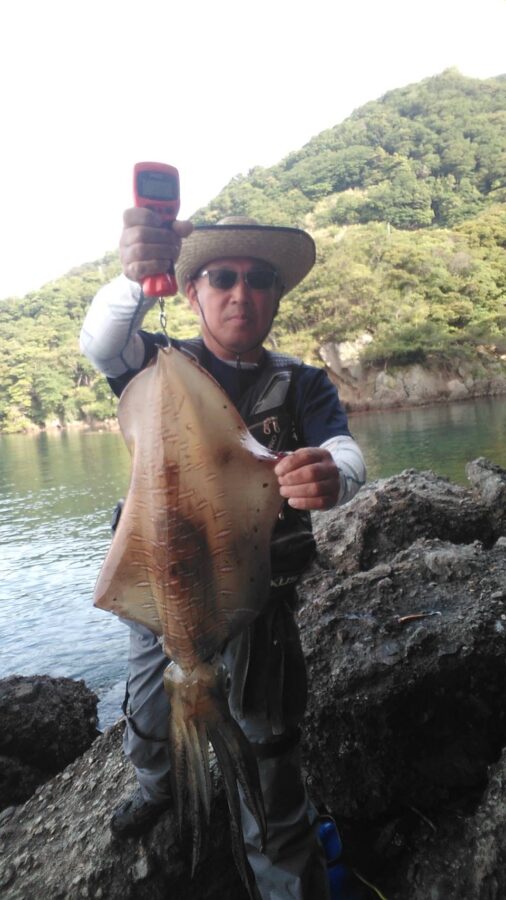 中山様～西伊豆・田子/アオリイカ2.8㎏、2.79㎏、1.85㎏、1.54㎏、他2杯/合計6杯～