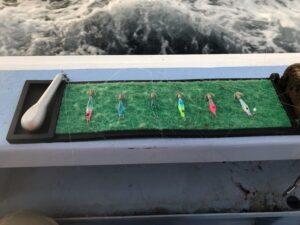 スタッフ小澤釣行記～伊豆　伊東/マルイカ6杯～