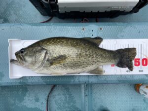 S様～津久井湖/ブラックバス15-48cm7匹～