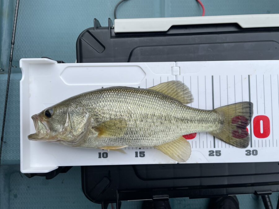 S様～津久井湖/ブラックバス15-48cm7匹～