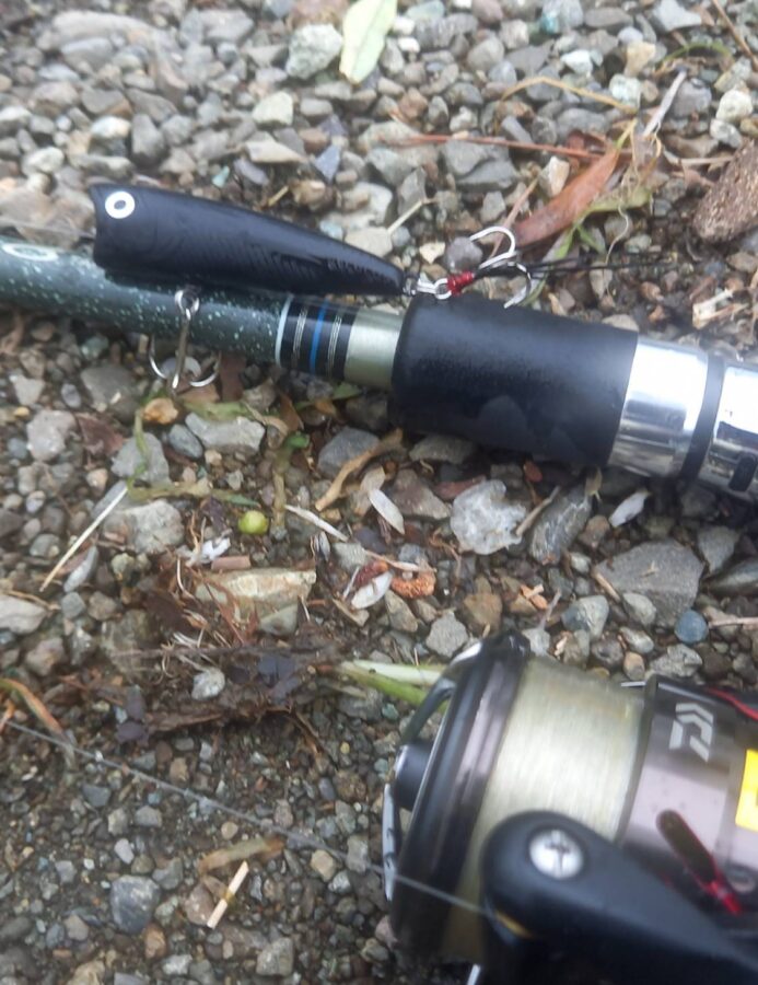 山岸様~西湖/ブラックバス51cm(2300g)~