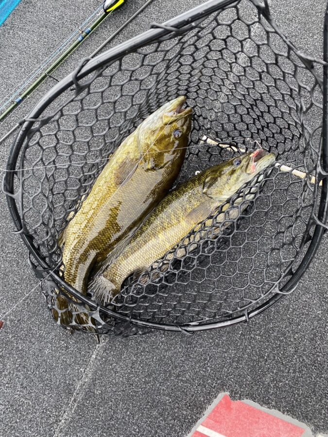 山田様・O様～野尻湖/毎日・スモールマウスバス35～43cm/5匹くらい～