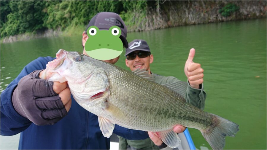 スタッフ吉田君釣行記~津久井湖/3人でブラックバス…15-41cm/15匹~