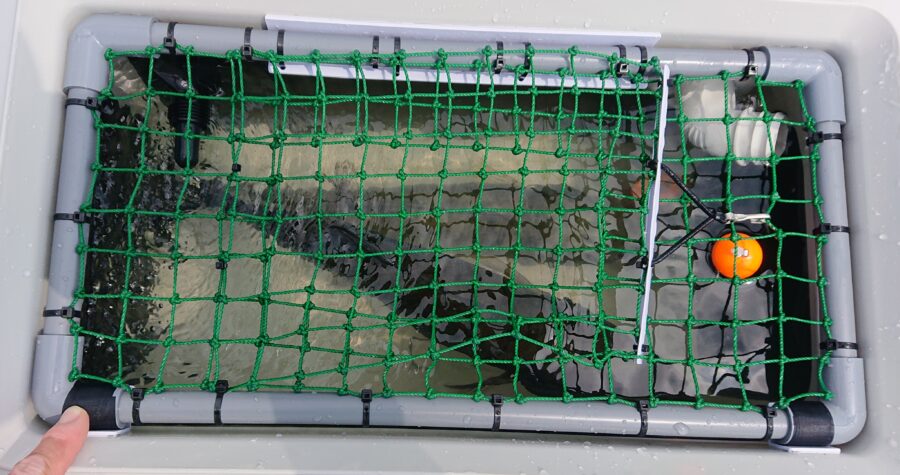 スタッフ吉田君釣行記～津久井湖/ブラックバス…40cmくらい/2本で2180g～