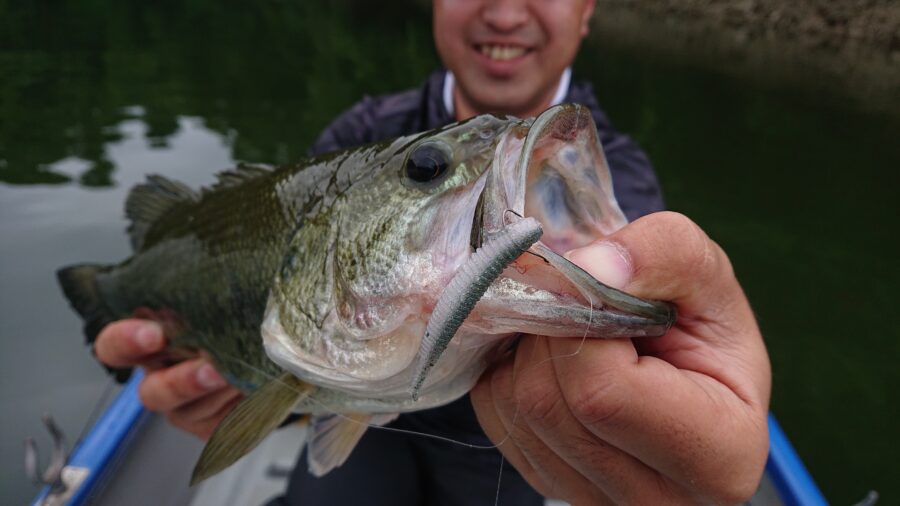 ついに発売！OSP『HPシャッドテール2.5インチ』『ドライブシャッド3.5インチ』相模屋オリカラ『NGS』』！