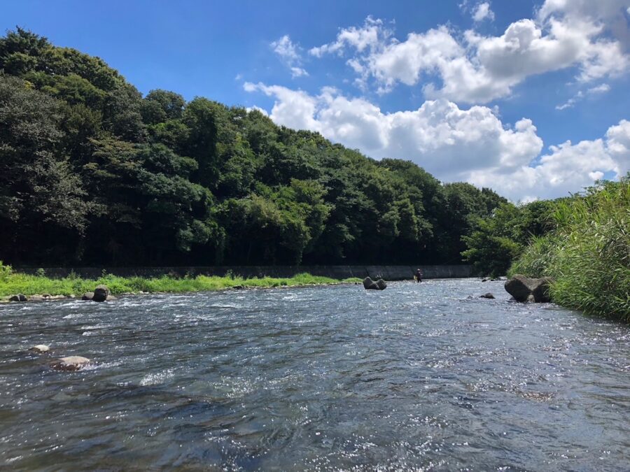 スタッフ平賀・齋藤・内田釣行記～中津川　高圧線下/アユ5匹〜19匹～