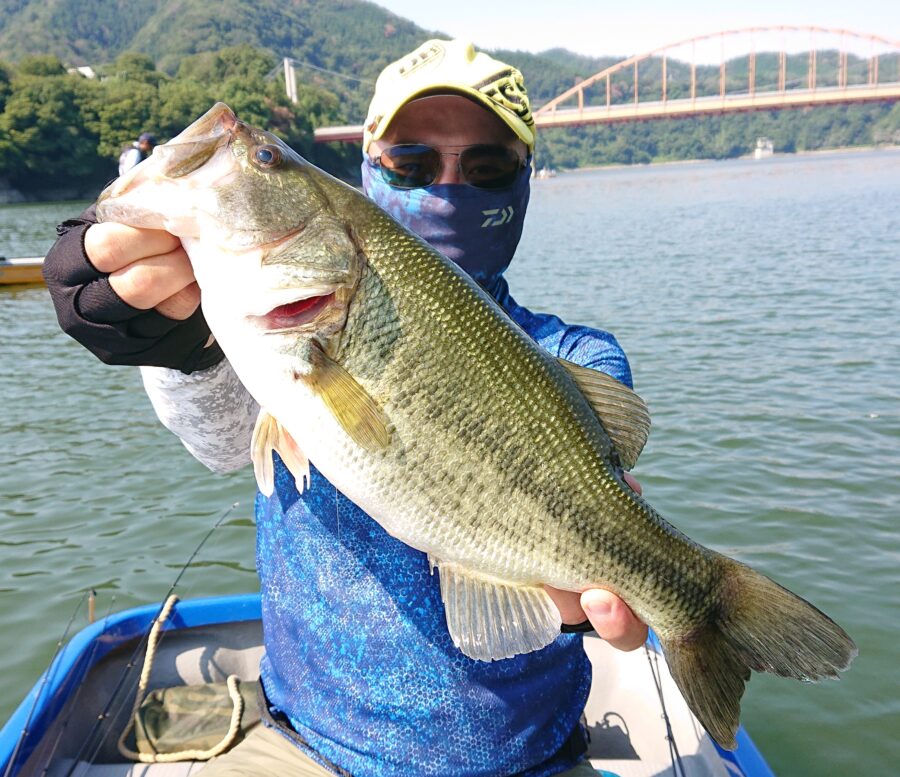 スタッフ吉田君釣行記~津久井湖/吉田・ブラックバス25-37cm6匹くらい~