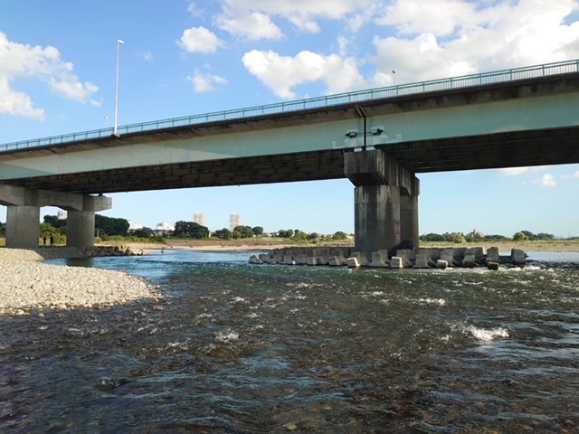 藤岡様～相模川　海老名の瀬/アユ10匹最大15cm程～