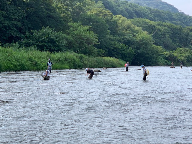 【報告】2023年8月20日 相模屋スタッフによる友釣り講習会