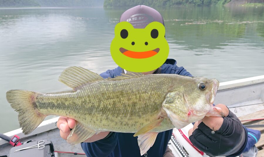 スタッフ吉田君釣行記～津久井湖/ブラックバス25-48cm7本～