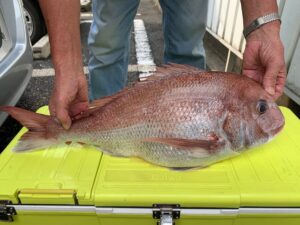 中田様～久里浜港/マダイ60cm1匹～