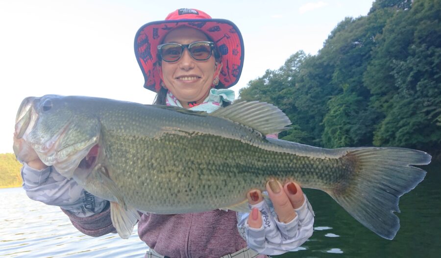 スタッフ吉田君釣行記～津久井湖/ブラックバス26～49cm7匹・ワカサギ約30匹～